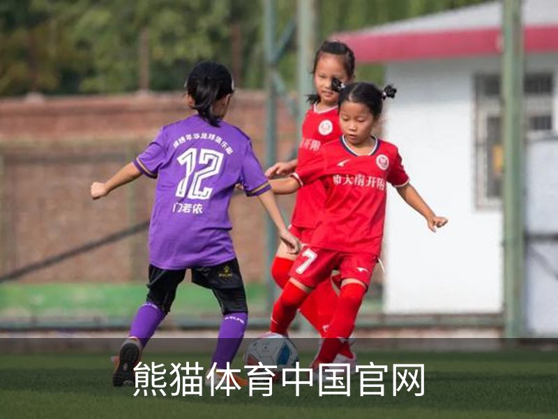 熊猫体育中国官网介绍
